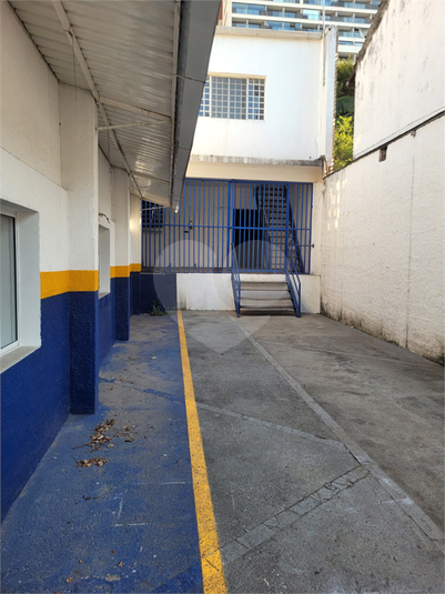 Foto REO1108459