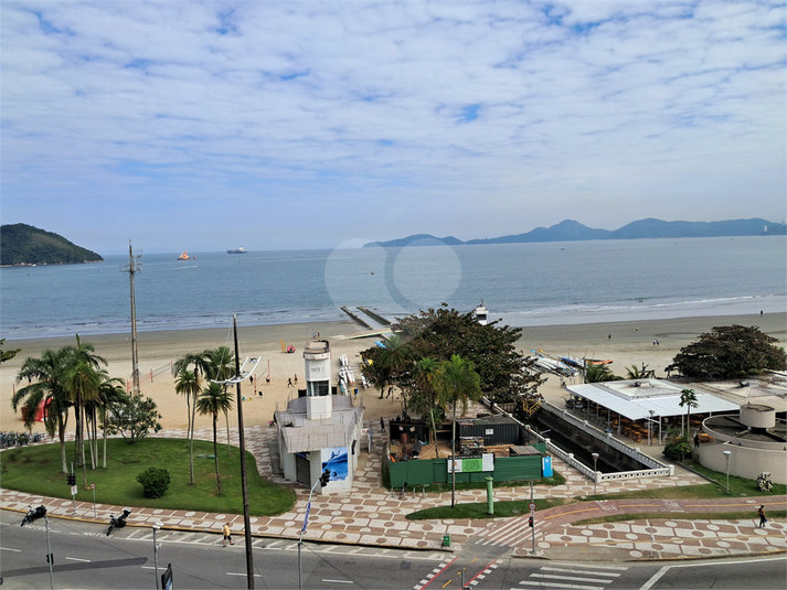 Foto REO1108467