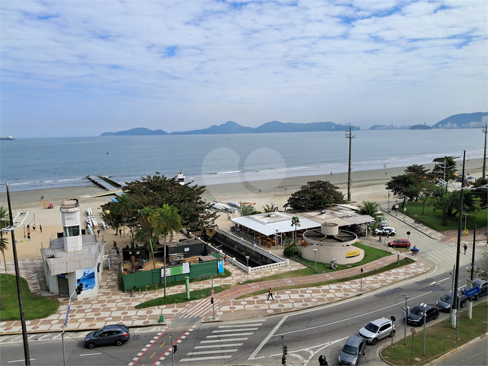 Foto REO1108467