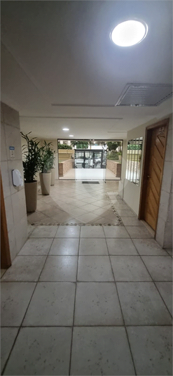 Foto REO1108469