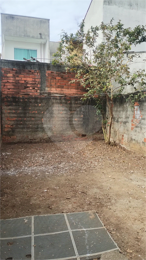 Foto REO1108471