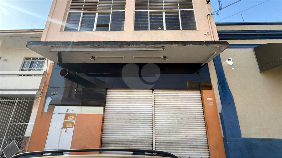 Foto REO1108476