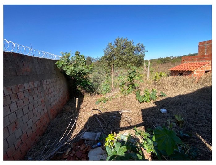 Foto REO1108477