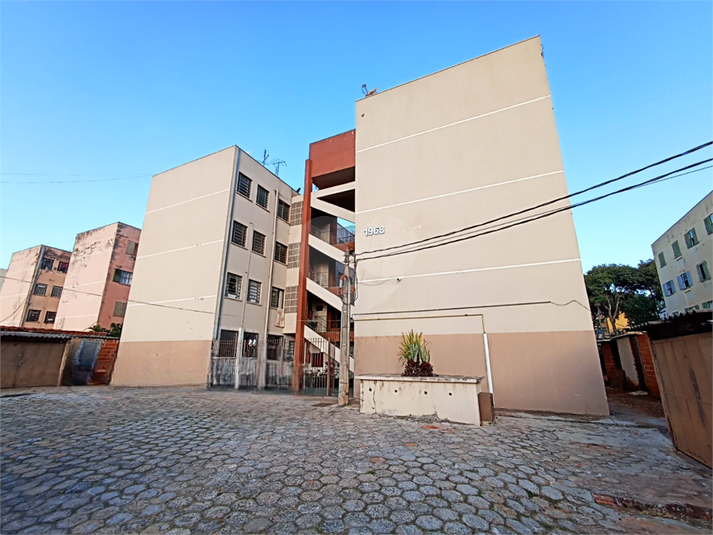 Foto REO1108495