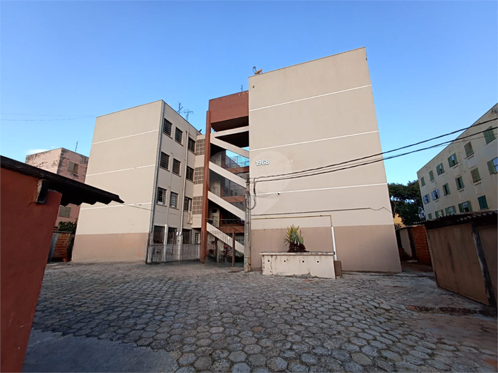Foto REO1108495