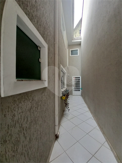 Foto REO1108503