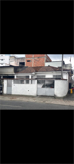 Foto REO1108506