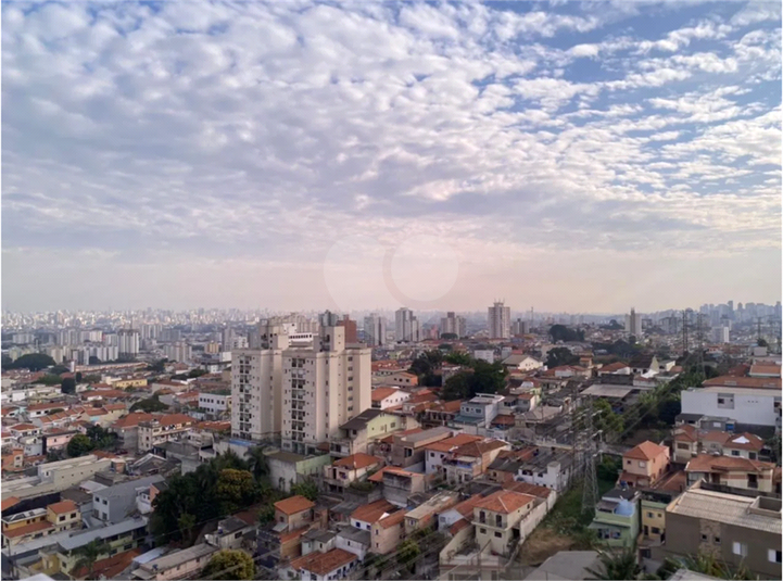 Foto REO1108510