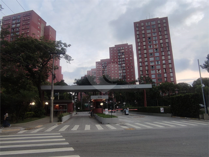 Foto REO1108523