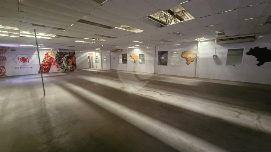 Foto REO1108529
