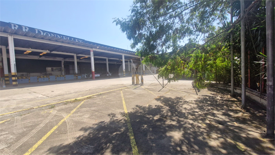 Foto REO1108529