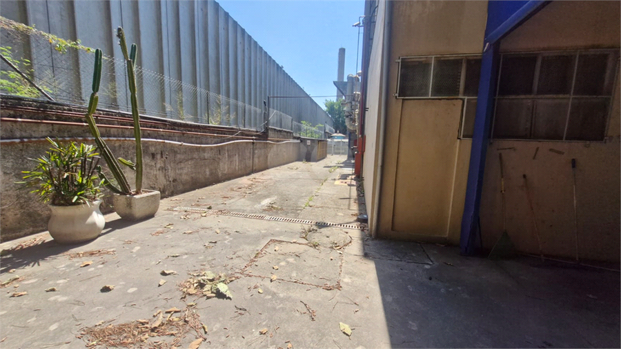 Foto REO1108529