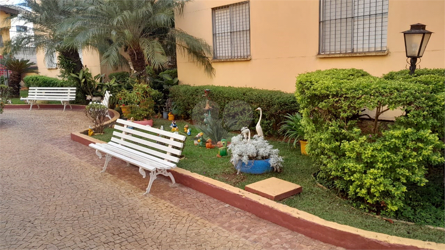 Foto REO1108536