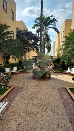 Foto REO1108536