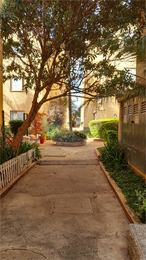 Foto REO1108536