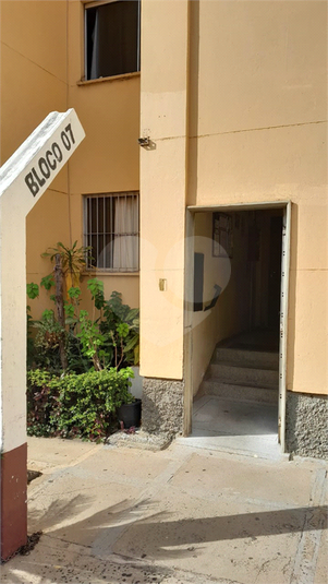 Foto REO1108536
