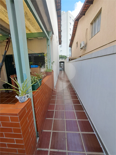 Foto REO1108542