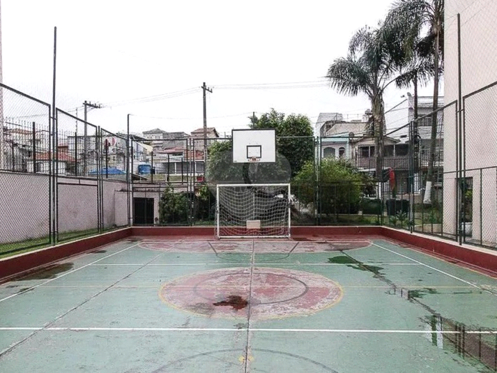 Foto REO1108545
