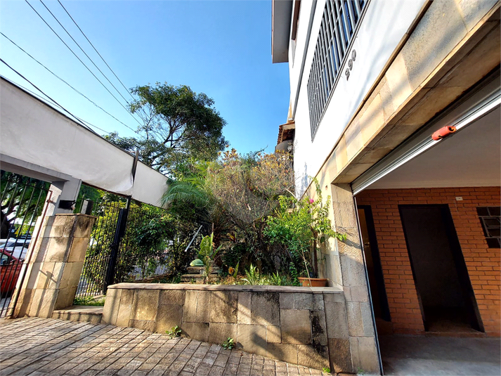 Foto REO1108549