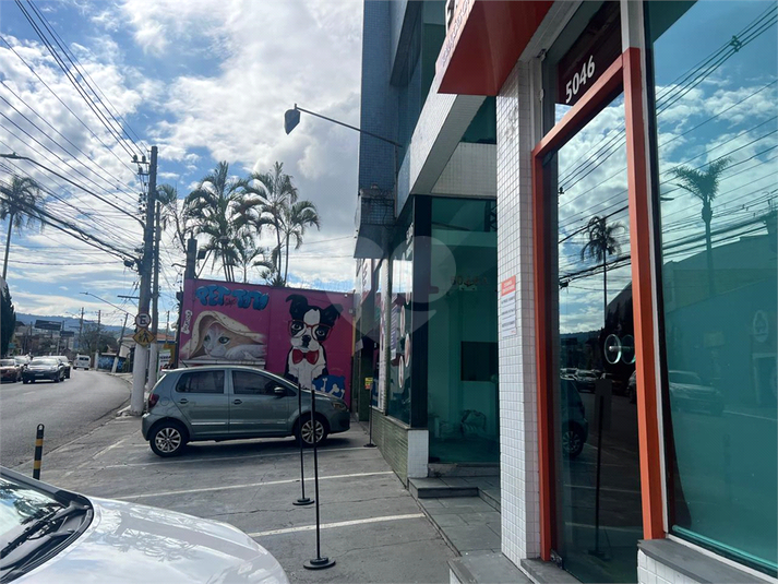 Foto REO1108552