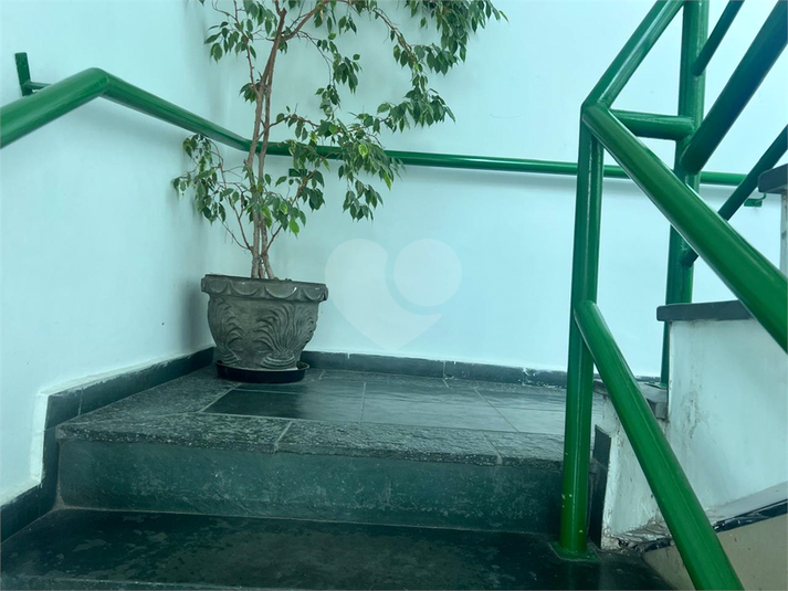 Foto REO1108552