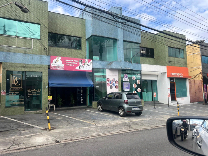 Foto REO1108552
