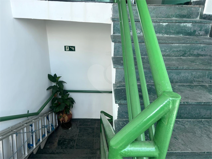 Foto REO1108552