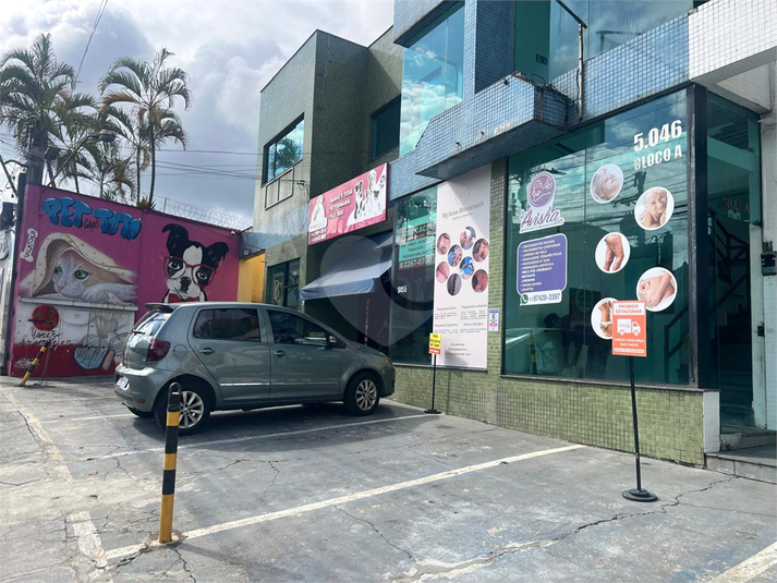 Foto REO1108552