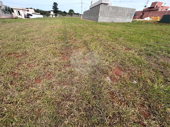 Foto REO1108555