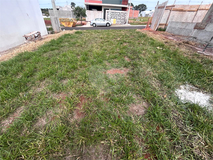 Foto REO1108560