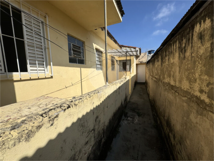 Foto REO1108561