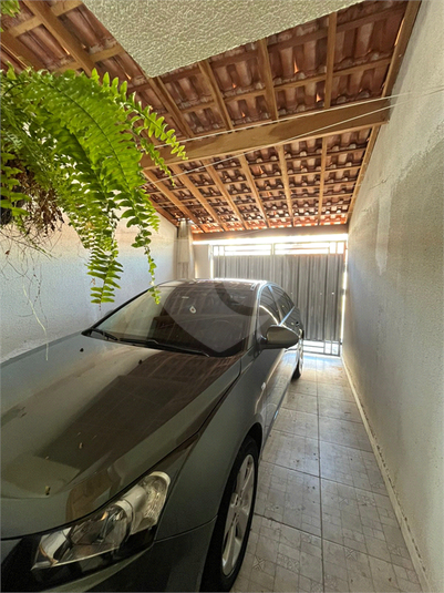 Foto REO1108566