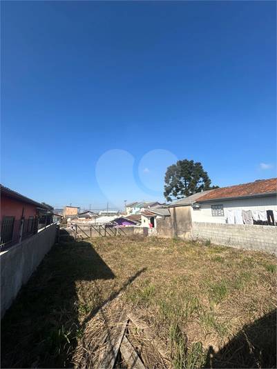 Foto REO1108569