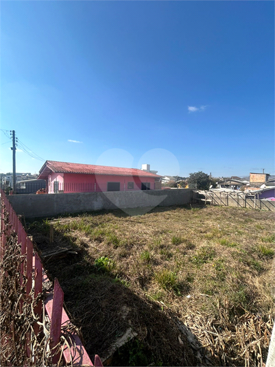 Foto REO1108569