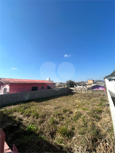 Foto REO1108569