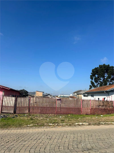 Foto REO1108569