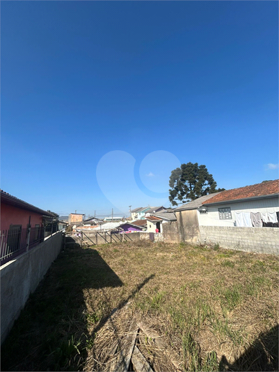 Foto REO1108569