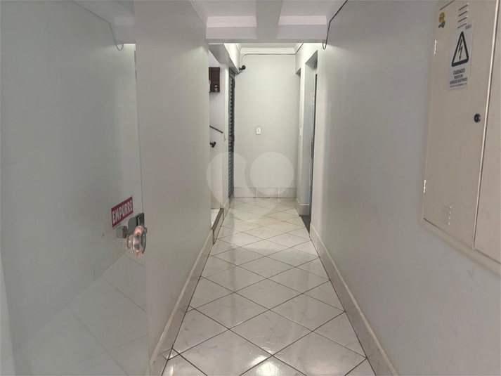 Foto REO1108571