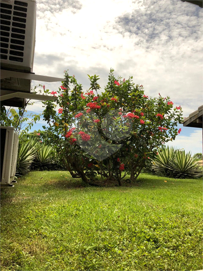Foto REO1108575