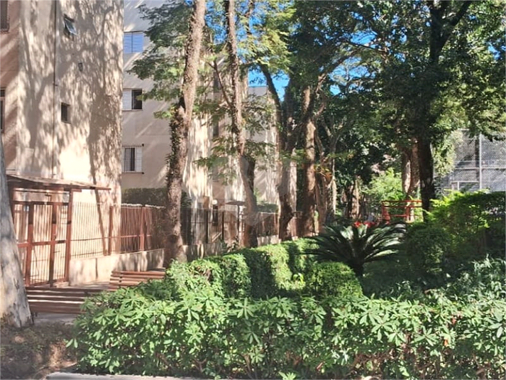 Foto REO1108580