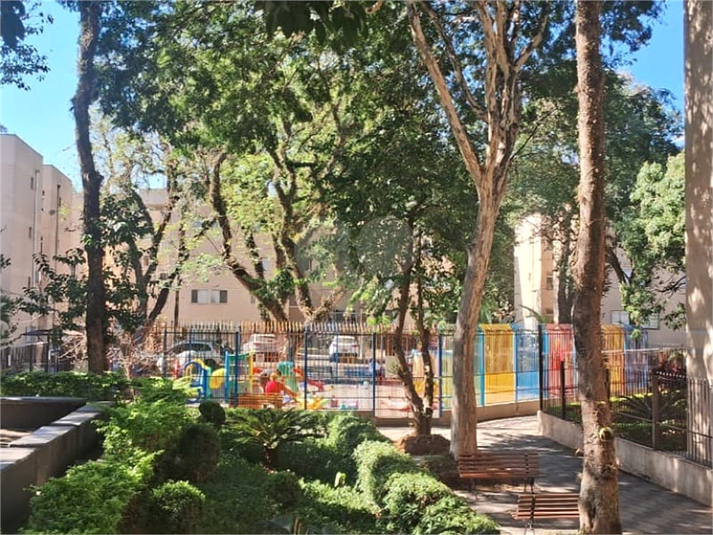 Foto REO1108580