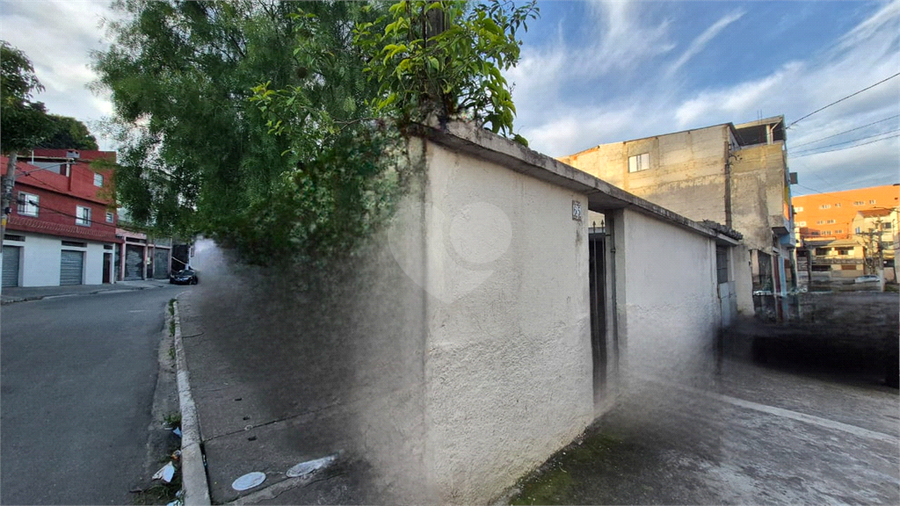 Foto REO1108595