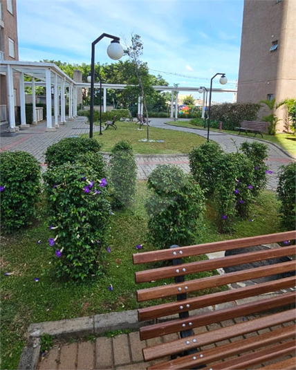 Foto REO1108599