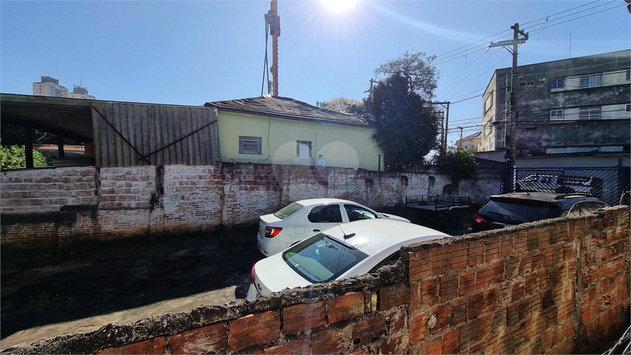 Foto REO1108639