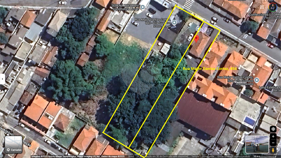Foto REO1108639