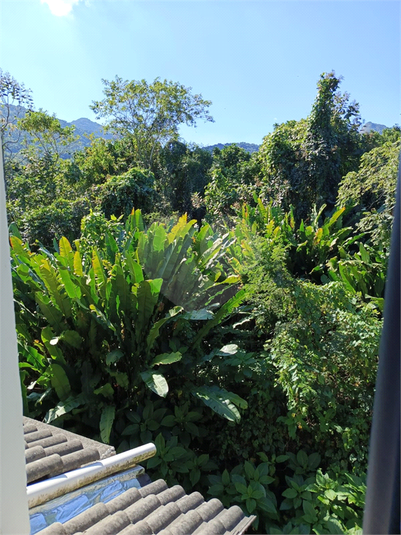 Foto REO1108659