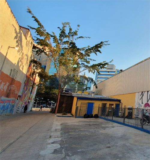 Foto REO1108665