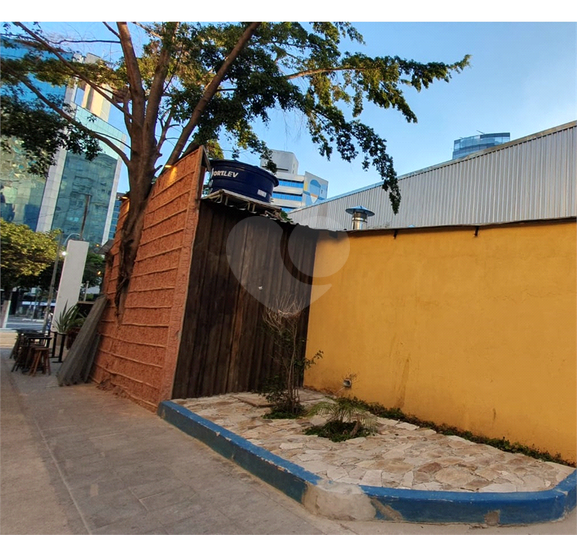Foto REO1108665