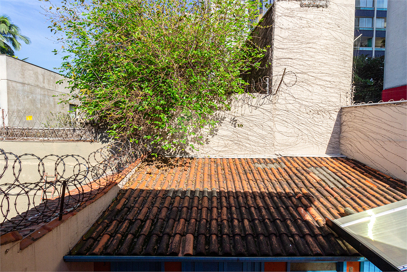 Foto REO1108678