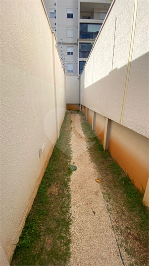 Foto REO1108687